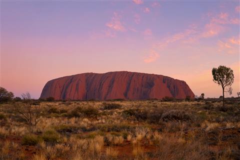世界遺産ウルル 夕景（C）Tourism　Australia